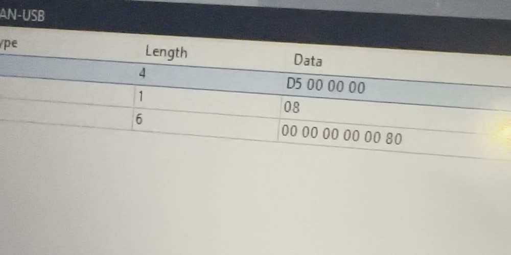 PCAN-View showing three frames: D5 00 00 00, 08, and 00 00 00 00 00 80